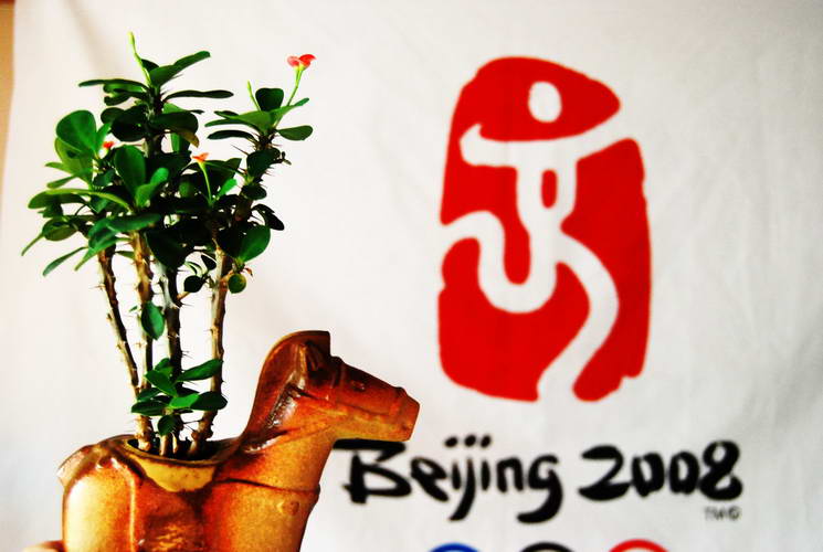 2008걱˻